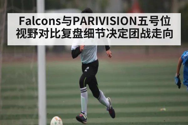 Falcons与PARIVISION五号位视野对比复盘细节决定团战走向